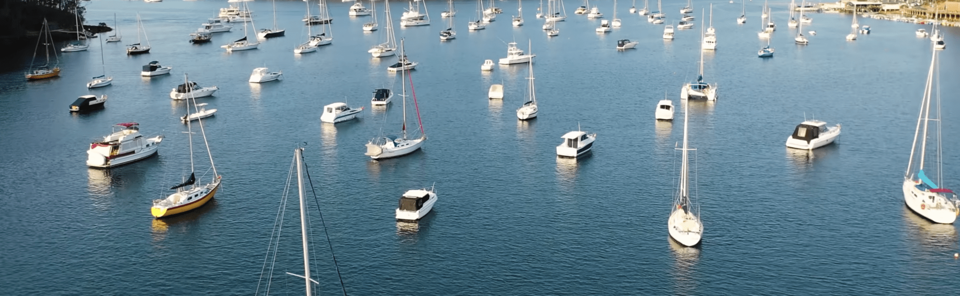 Screen Shot 2020-01-31 at 2.04