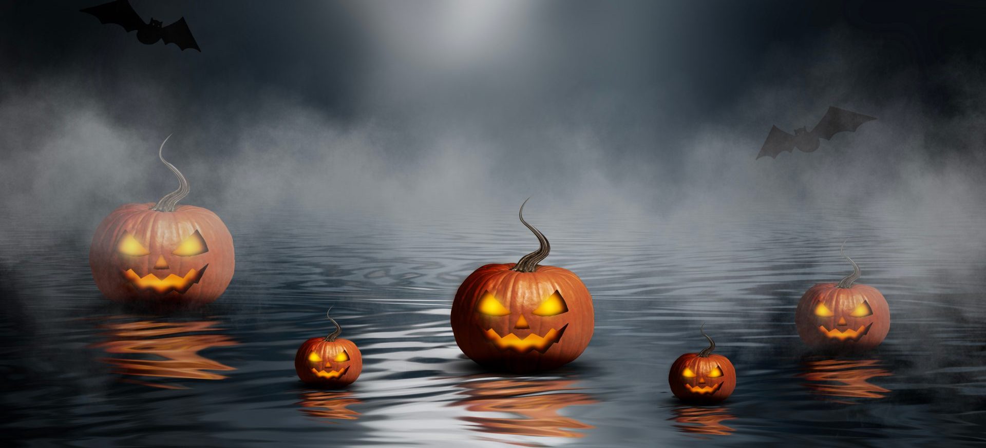 shutterstock_1803127318